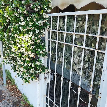L'appoggio Perfetto Apartment